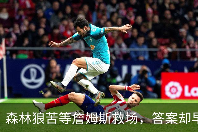 森林狼苦等詹姆斯救场，答案却早已身披5号