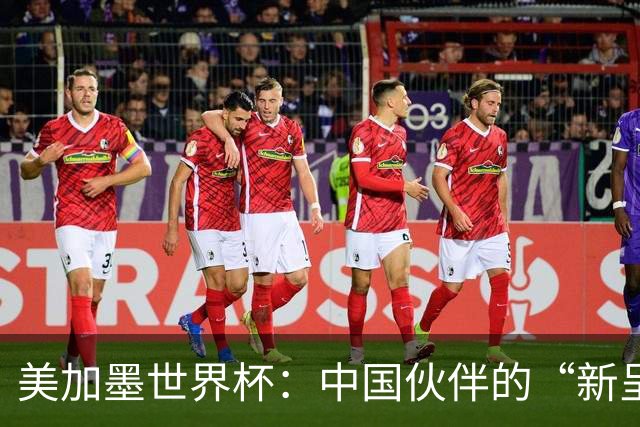 美加墨世界杯：中国伙伴的“新呈现”